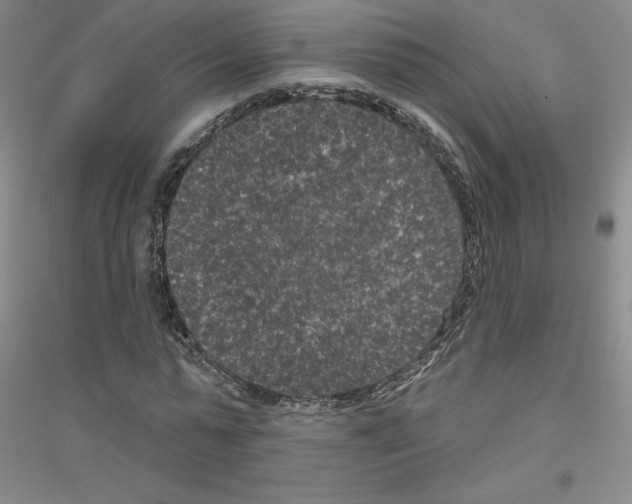 X0000116770775201001281632