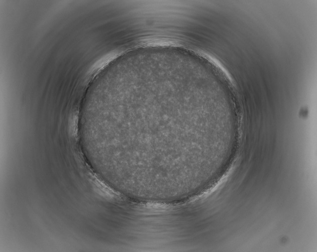 X0000116770777201001281632
