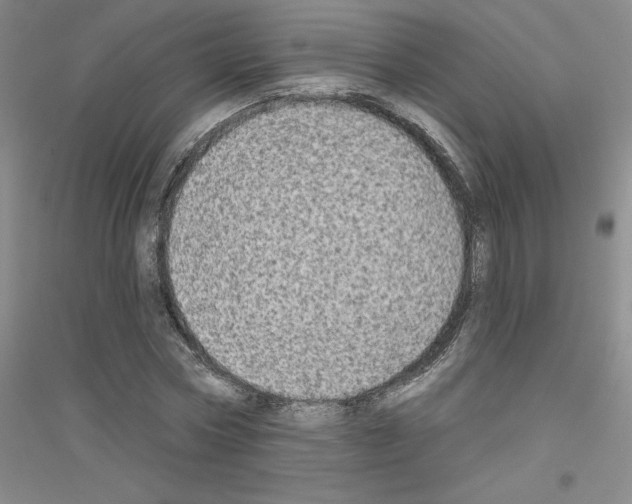 X0000116770778201001281632