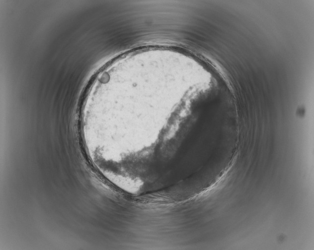 X0000116770779201001281632