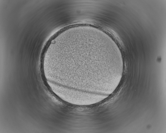 X0000116770780201001281632