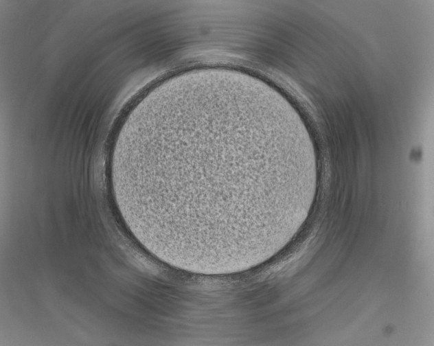 X0000116770782201001281632