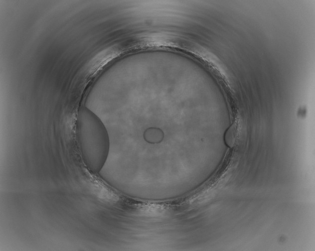 X0000116770785201001281632