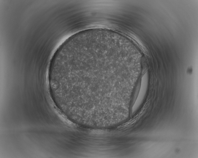 X0000116770788201001281632