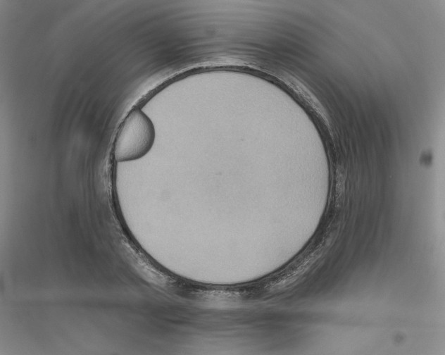 X0000116770789201001281632