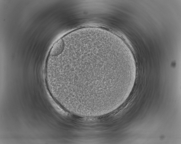 X0000116770795201001281632