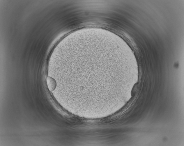 X0000116770796201001281632
