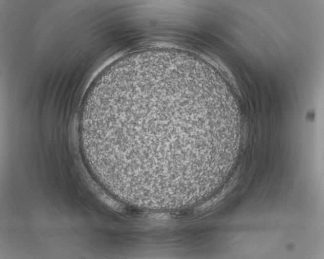 X0000116770798201001281632