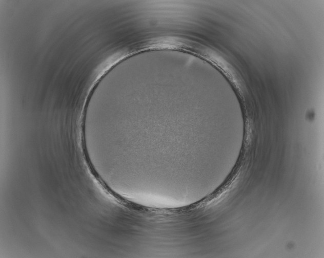 X0000116770802201001281631