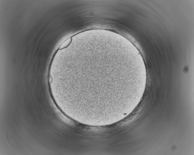 X0000116770803201001281631