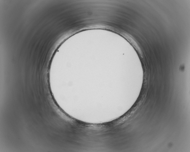 X0000116770805201001281631
