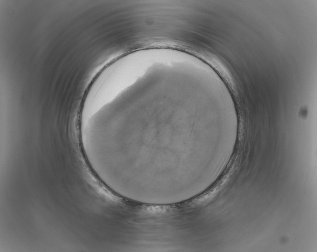 X0000116770806201001281631