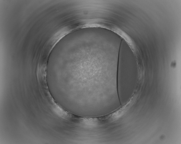 X0000116770809201001281631