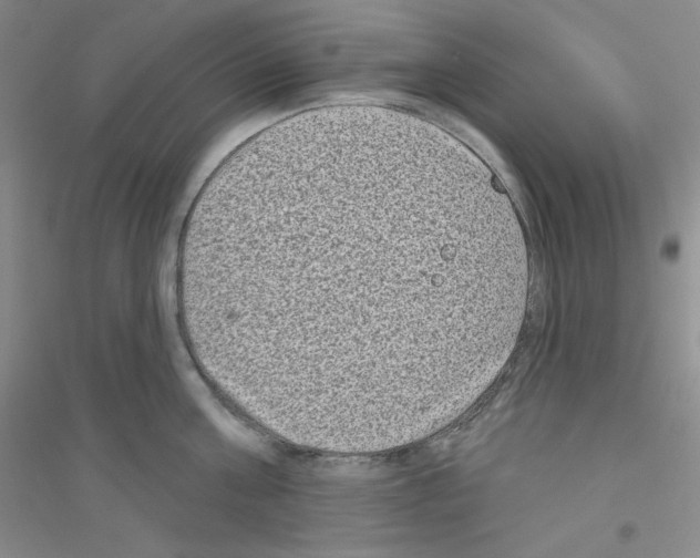 X0000116770811201001281631