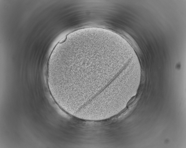 X0000116770812201001281631