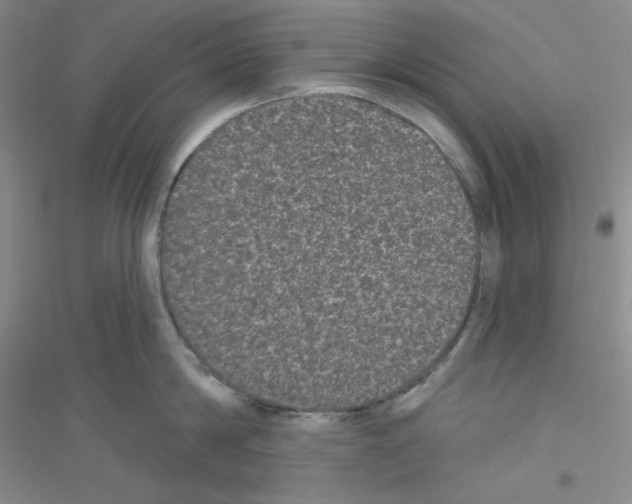 X0000116770814201001281631