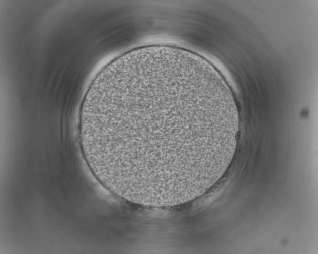 X0000116770815201001281631