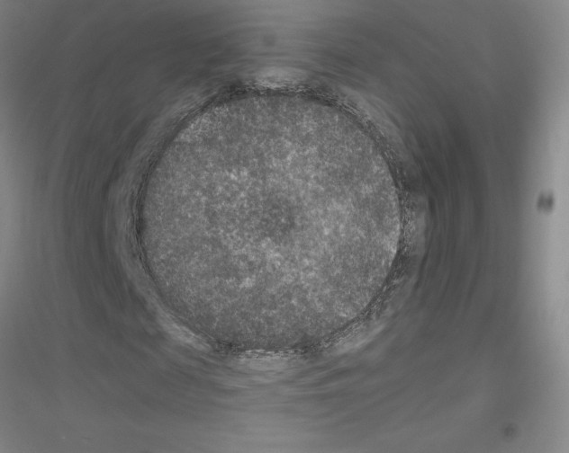 X0000116770817201001281631
