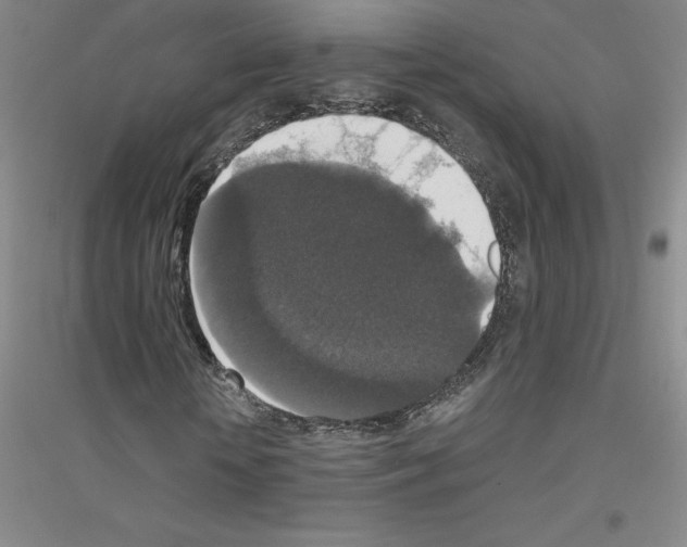 X0000116770818201001281631