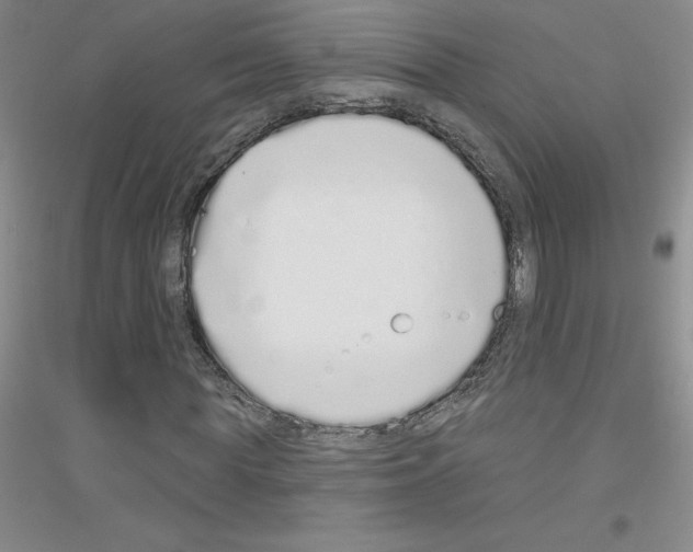 X0000116770819201001281631