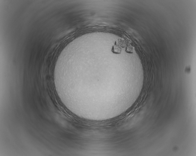 X0000116770820201001281631