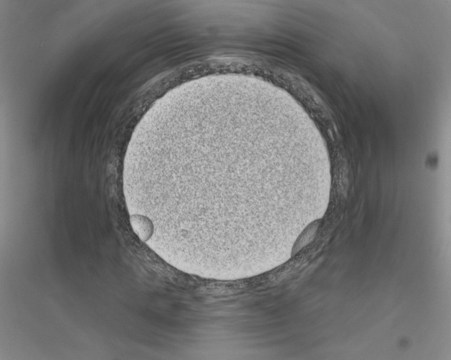 X0000116770821201001281631