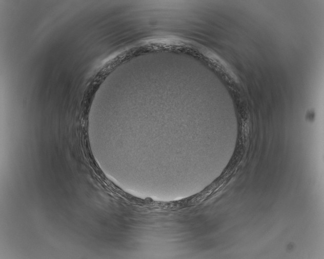 X0000116770822201001281631