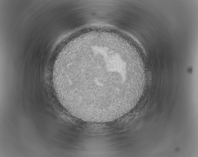 X0000116770823201001281631