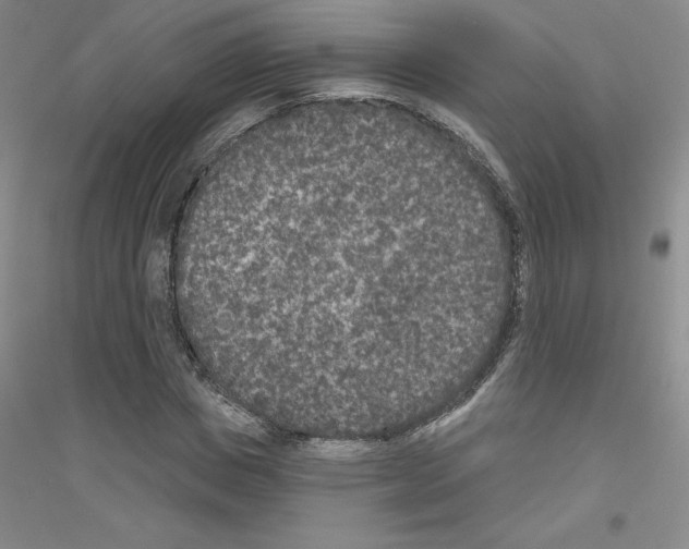 X0000116770825201001281631