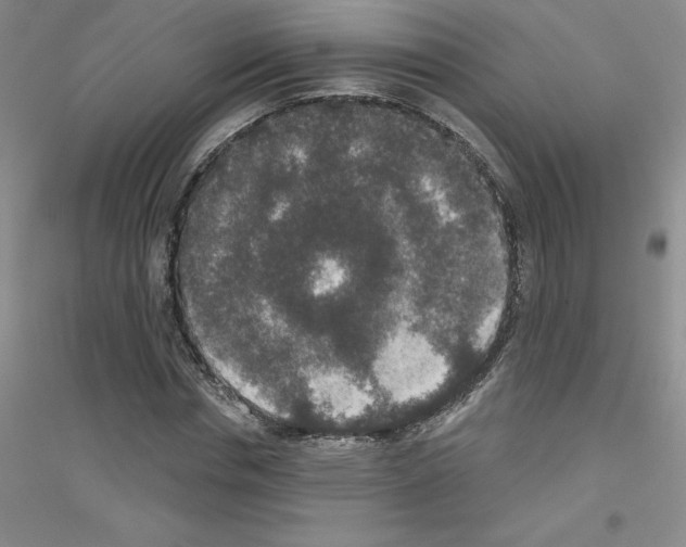 X0000116770826201001281631