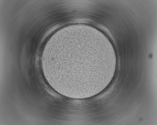X0000116770827201001281631