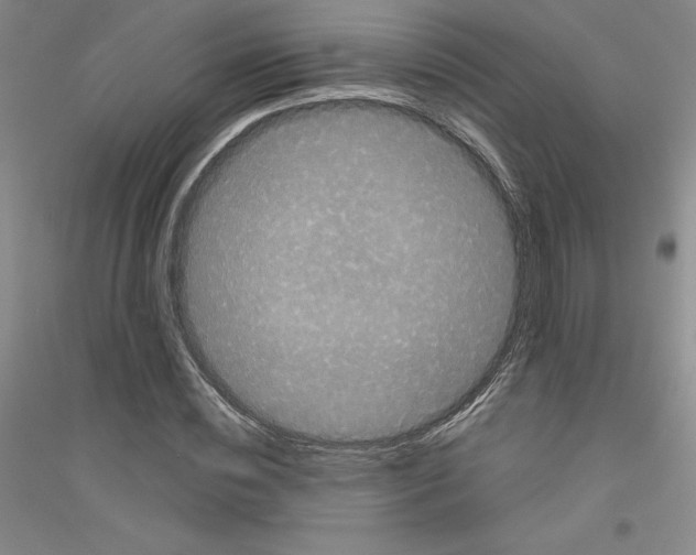 X0000116770828201001281631