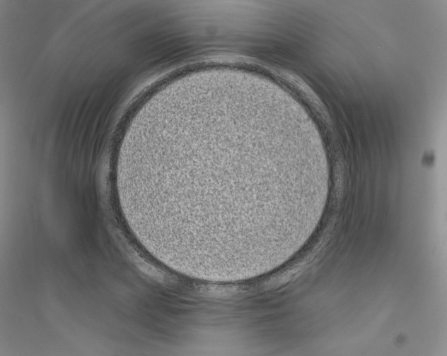 X0000116770831201001281631