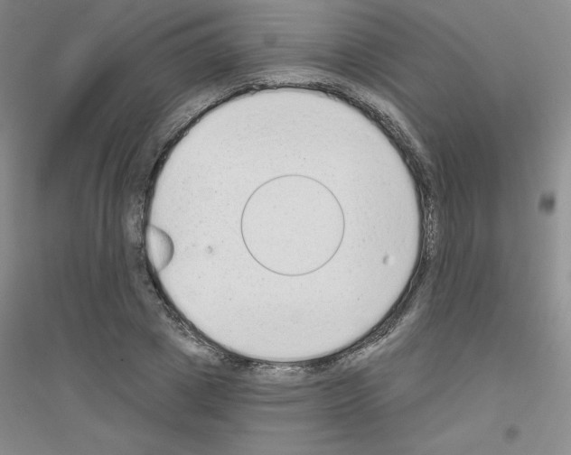X0000116770833201001281631