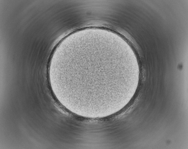 X0000116770834201001281631