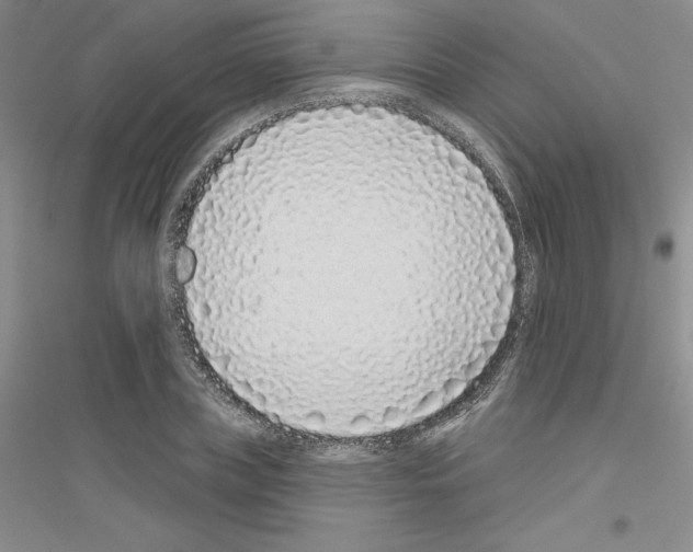 X0000116770835201001281631