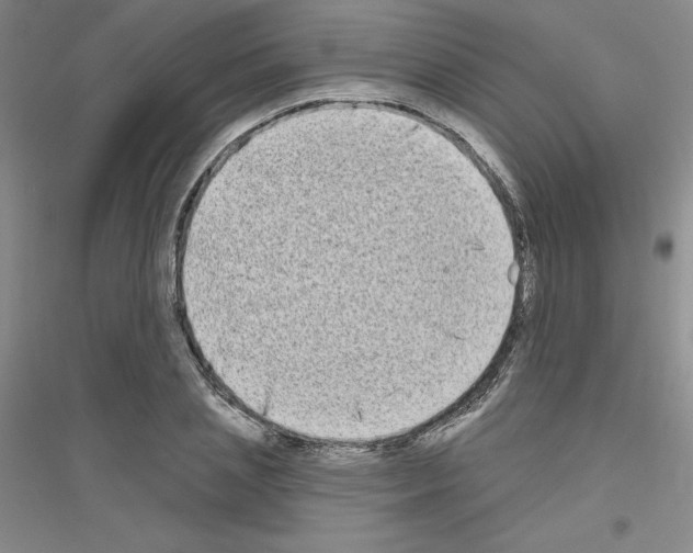 X0000116770837201001281631