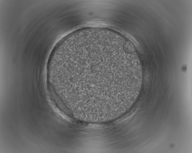 X0000116770840201001281631