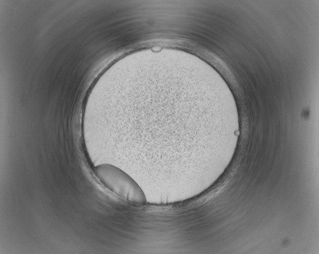 X0000116770844201001281631