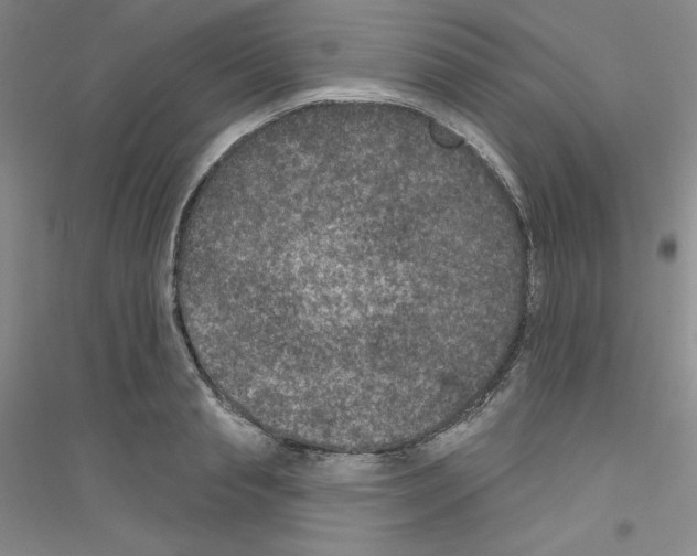 X0000116770845201001281631
