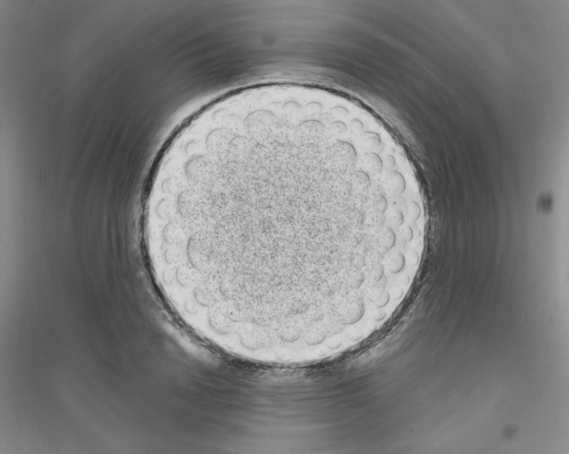 X0000116770846201001281631
