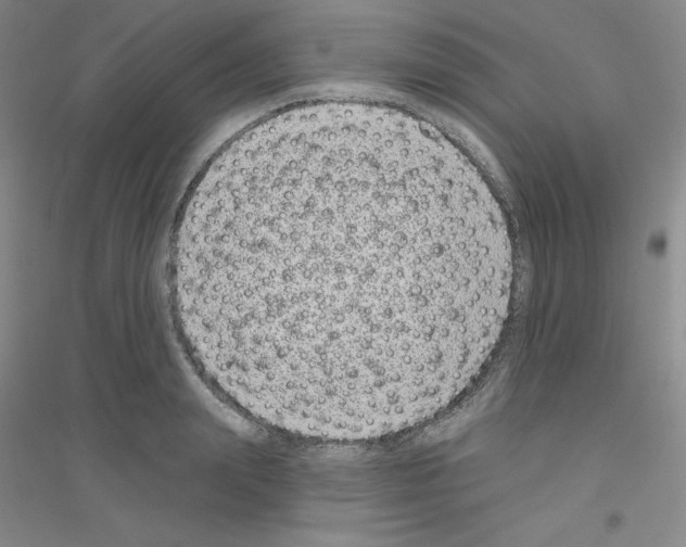 X0000116770847201001281631