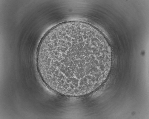 X0000116770848201001281631