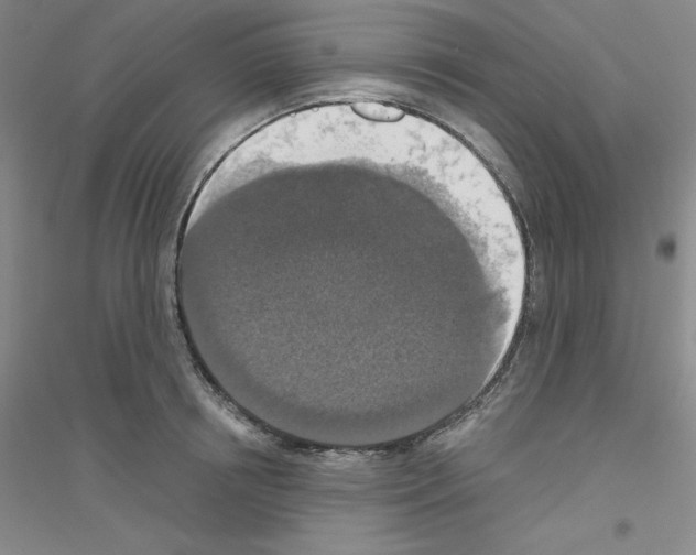 X0000116770850201001281631