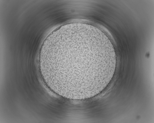 X0000116770852201001281631