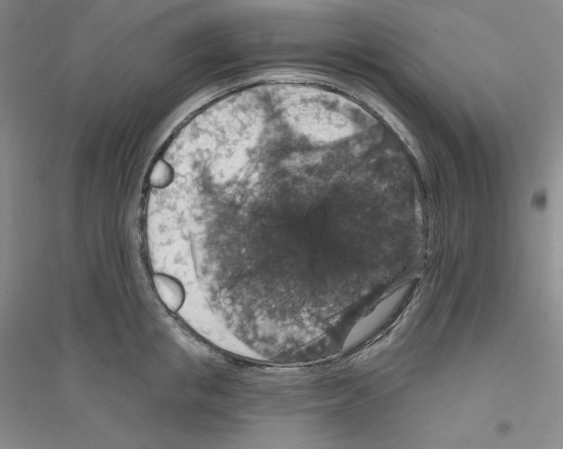 X0000116770853201001281631