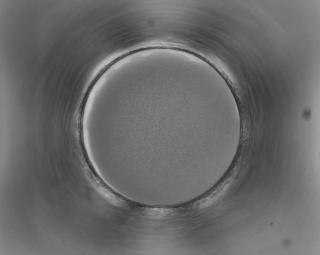 X0000116770854201001281631