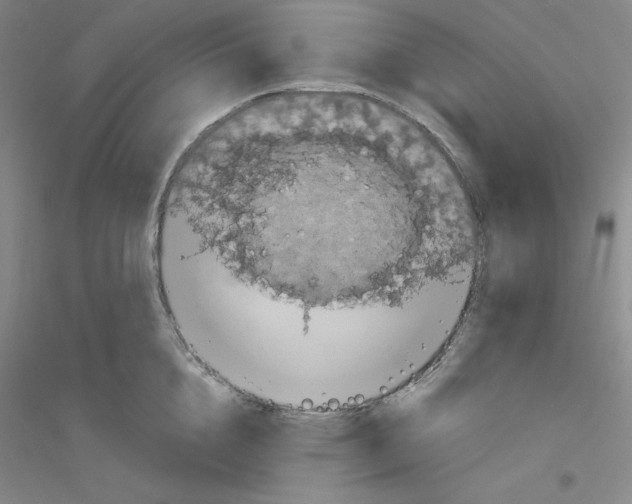 X0000116770856201001281631