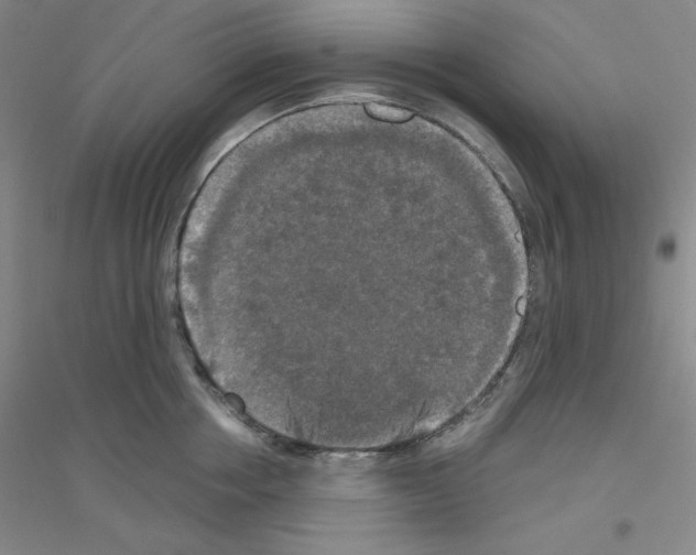 X0000116770858201001281631