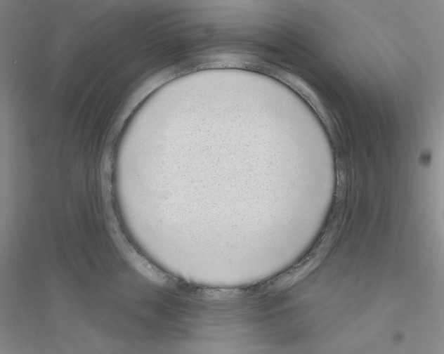 X0000116770859201001281631